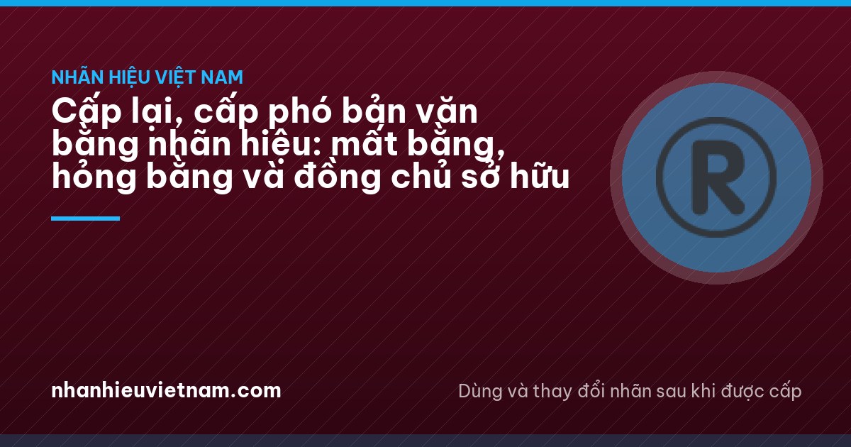 A small family office in Hai Phong, a man seen from behind opening a metal filing cabinet drawer full of plain folders, afternoon light, crimson cushion on chair